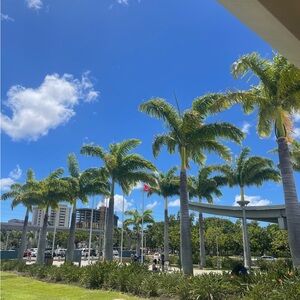 Good morning! Tomorrow at 10:38 am lululemon, Alo,
Free People and more low star